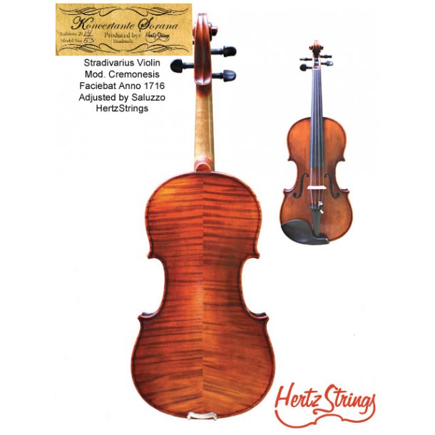 Violin Green Line 4/4 - 3/4 1/2 - Violiner kr. 1.000 til 10.000 - Hertz Music A/S